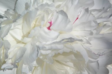 arkaplan ve doku oluşturmak için