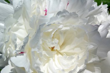 arkaplan ve doku oluşturmak için