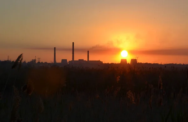 Sazlıklarla gölde gün batımı