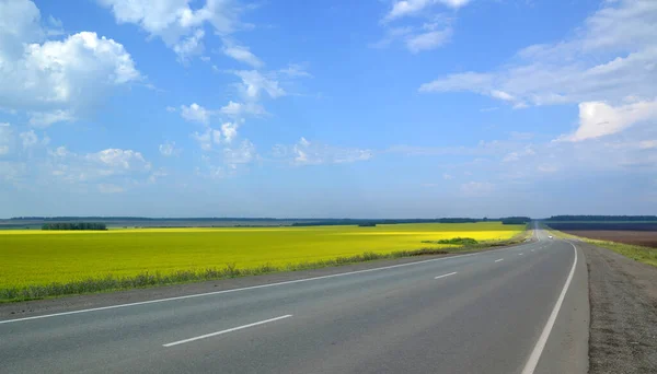 Road Yellow Field Blue Sky — Stock Fotó