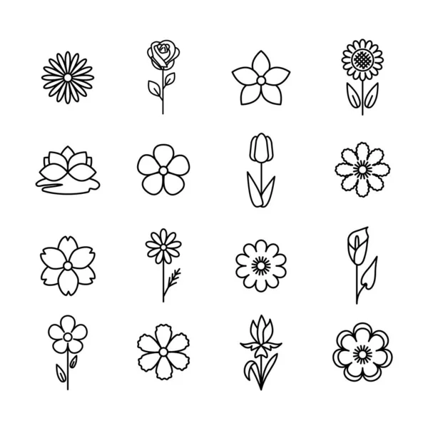 Dekoratif Çiçek Seti Için Basit Bitki Resimleri Çizgi Vuruş Beyaz — Stok Vektör