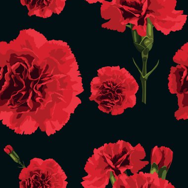 Carnations Carnation Wallpaper Free Vector Eps Cdr Ai Svg Vector Illustration Graphic Art