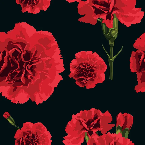 Carnations flower — Stock Vector