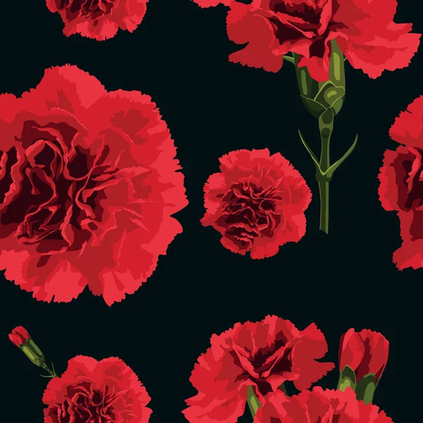 Carnations Vector Art Stock Images Depositphotos