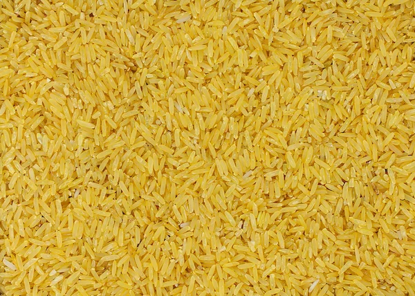 Zblízka hnědá rýže. — Stock fotografie