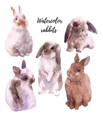 Beyaz arkaplanda el çizimi suluboya tavşanlar