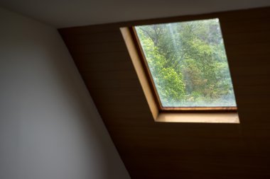 Ağaçları ve orman manzaralı pencereden