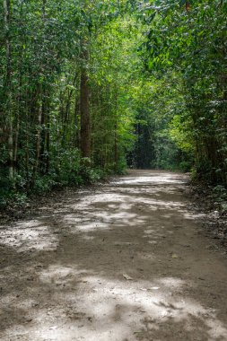 Toprak yol gölge ve ışık sahip