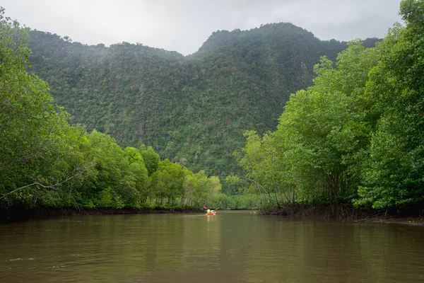 Utsikt över floden, bergen och mangrove skogen med röda kajak — Stockfoto