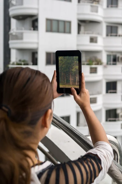 Kvinna anläggning tablet i hennes hards med skogsutsikt på skärmen — Stockfoto