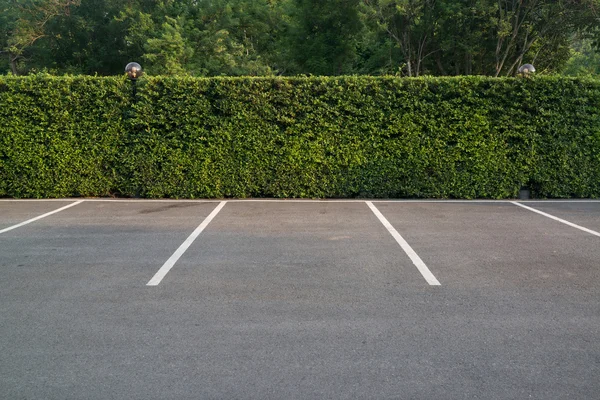 Estacionamento vazio com parede de folhagem no fundo — Fotografia de Stock