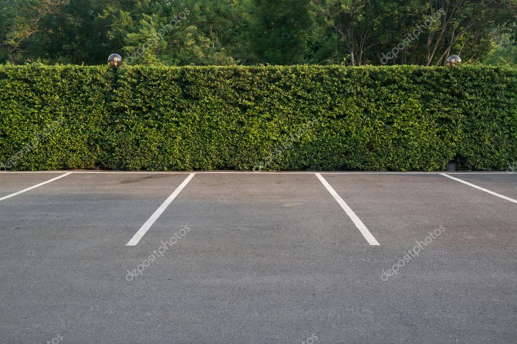 Empty parking lot with foliage wall in the background Stock Photo by