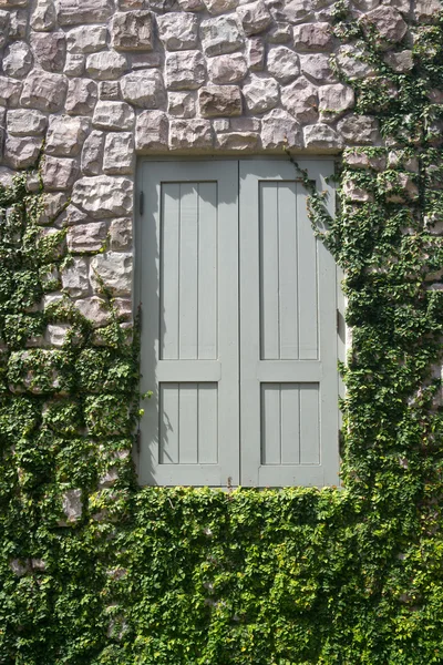 Janela de madeira fechada na parede de pedra com plantas e verde — Fotografia de Stock