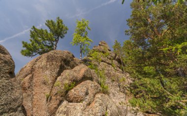 Tayga ve Rusya'nın Dağları