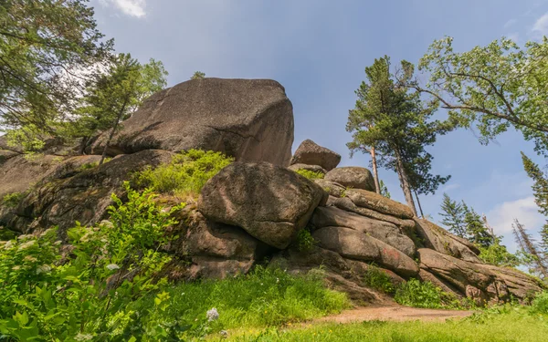 Taiga en bergen van Rusland — Stockfoto