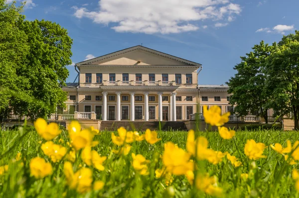 Санкт-Петербург, Російська Федерація — стокове фото