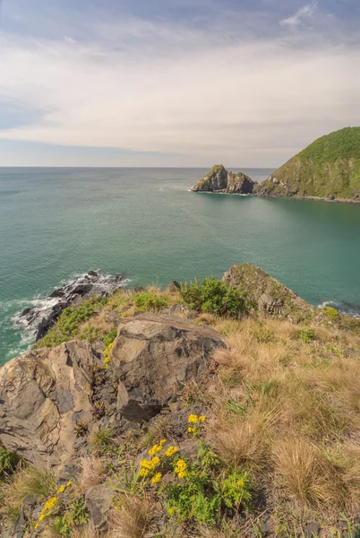 Japon deniz, Rusya Federasyonu