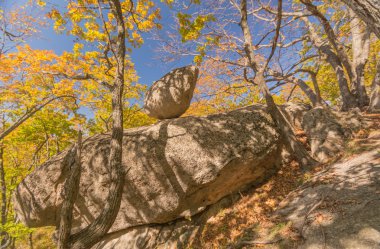 Rusya'nın dağlarında sonbahar