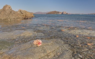 Japon deniz, Rusya Federasyonu