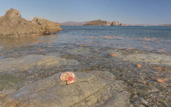 Japon deniz, Rusya Federasyonu
