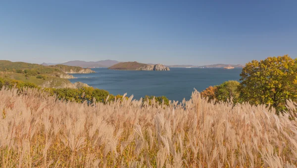 Japon deniz, Rusya Federasyonu
