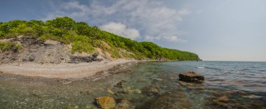 Deniz kıyısı buzlu