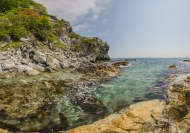 Deniz kıyısı buzlu