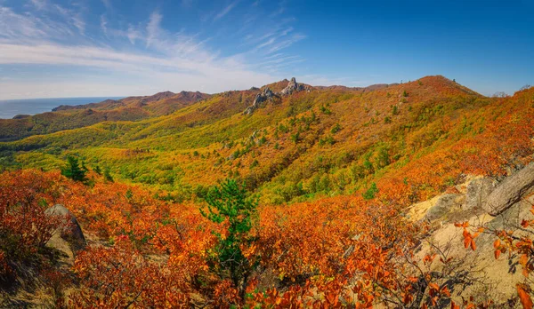 ロシアのプリモルスキー地方のタイガ山脈の秋 ストック画像