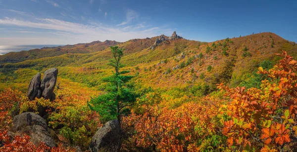 Herfst Taiga Bergen Van Het Primorsky Grondgebied Van Rusland Stockfoto