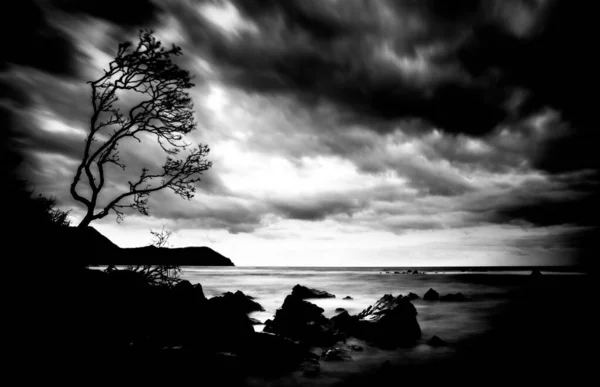 Deniz Kenarındaki Kayaların Siyah Beyaz Bir Fotoğrafı — Stok fotoğraf