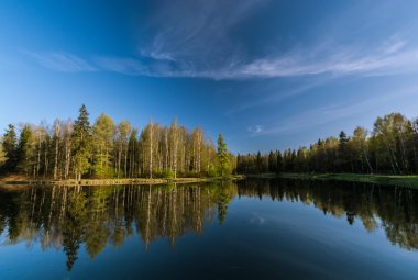 Flora, bitki örtüsü, bitki hayat