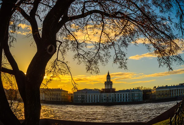 Вид на Петерсбург — стокове фото