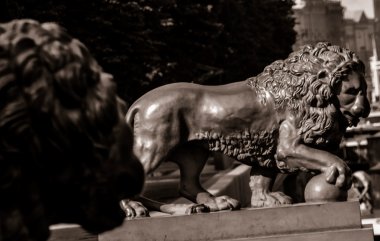 Peter 1 büyük bronz Süvari