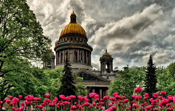 Вид на Петерсбург — стокове фото