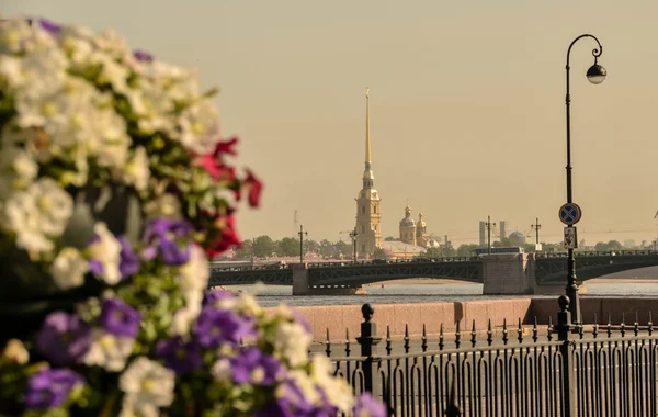 サンクトペテルブルクの風景です — ストック写真