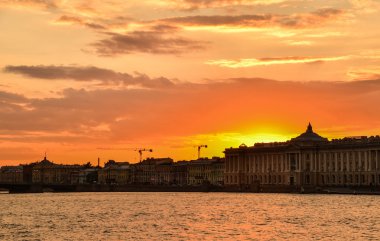 St. Petersburg sayısı