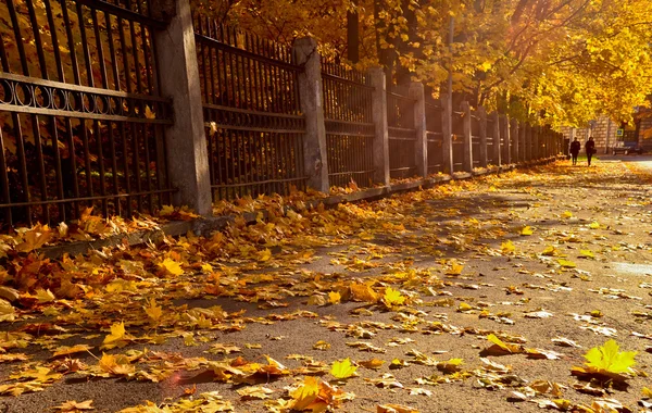 Падіння і архітектури в Санкт-Петербурзі — стокове фото