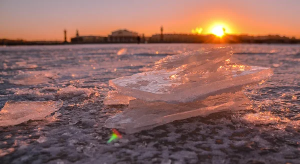 Kış ve Saint Petersburgh karda