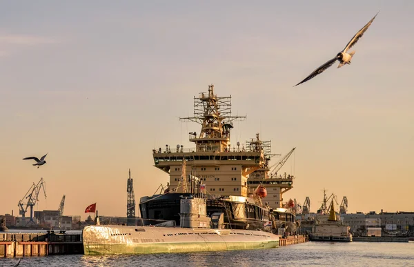 Neva, pássaros, ventos e navios — Fotografia de Stock