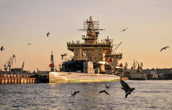 Navios e aves de São Petersburgo — Fotografia de Stock