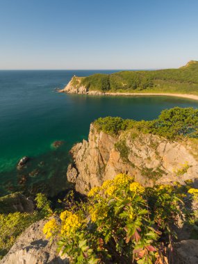Japon deniz ve kayalıklarla