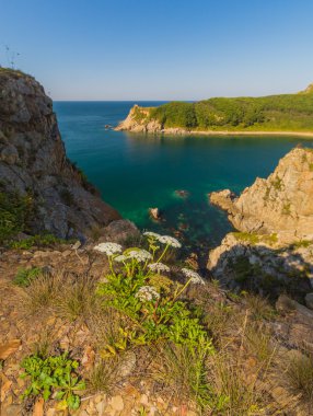 Japon deniz ve kayalıklarla