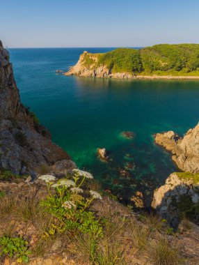 Japon deniz ve kayalıklarla