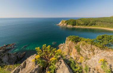 Japon deniz ve kayalıklarla