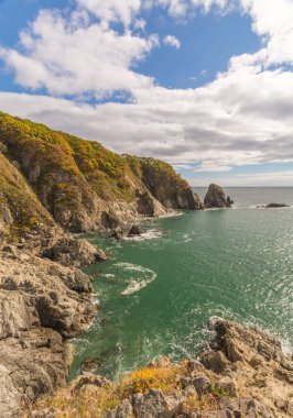 Japon deniz ve kayalıklarla