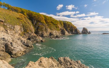 Japon deniz ve kayalıklarla