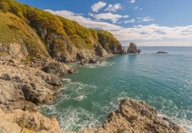 Japon deniz ve kayalıklarla