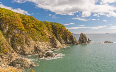 Japon deniz ve kayalıklarla