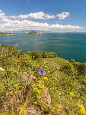 Japon deniz ve kayalıklarla