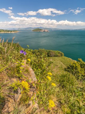 Japon deniz ve kayalıklarla